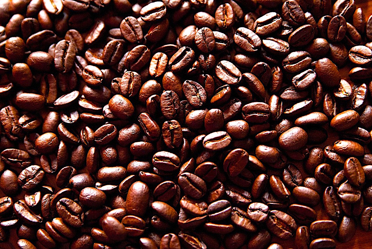 Savoring the Roots of Coffee: A Journey from Ethiopia to Wales